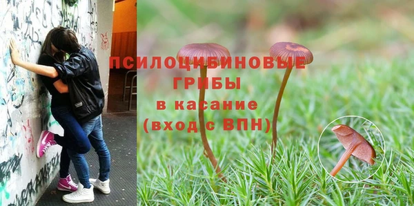 прущие крисы Валуйки
