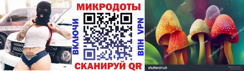 Галлюциногенные грибы прущие грибы Каменногорск