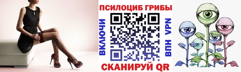 Галлюциногенные грибы Magic Shrooms  хочу наркоту  Каменногорск 